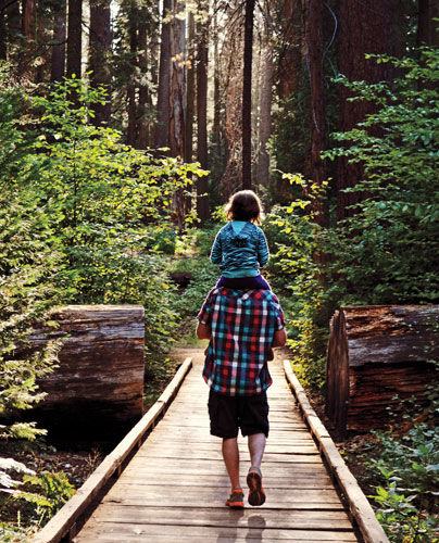 Foolproof Family Road Trips in California